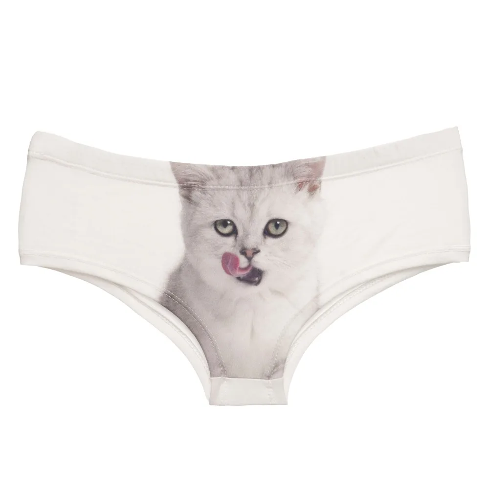 37058 licking kitten (3)