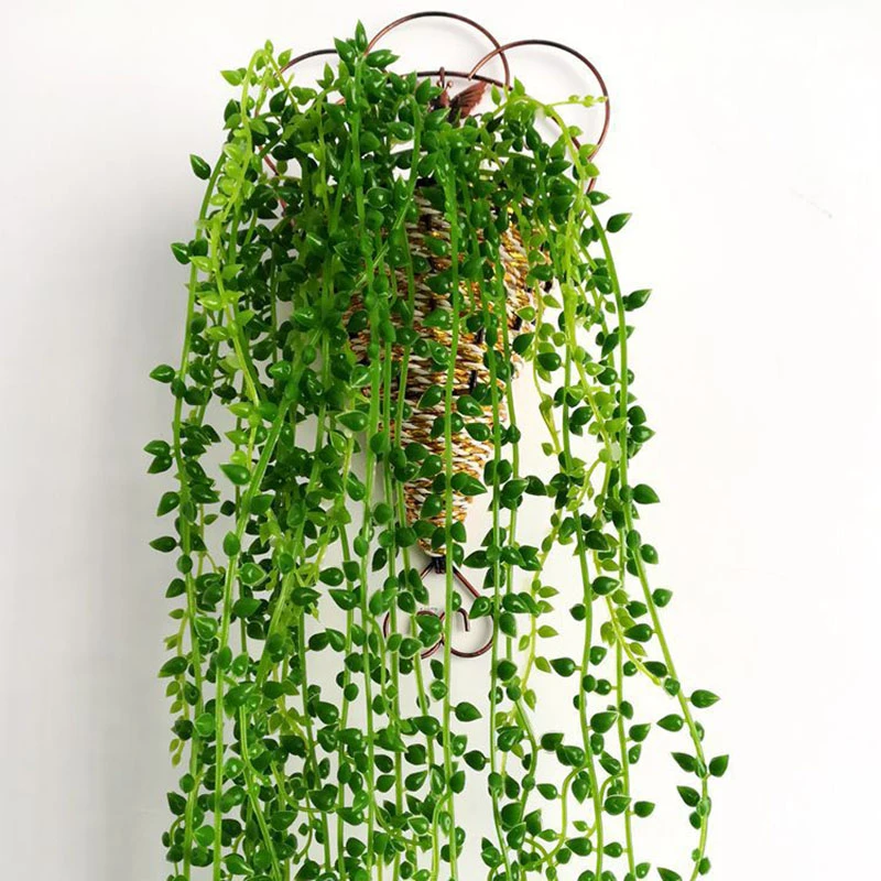 Huérfano peor masilla Planta de imitación para decoración de bodas, plantas suculentas colgantes  de pared, vides falsas, 80cm de alto|Flores artificiales y secas| -  AliExpress