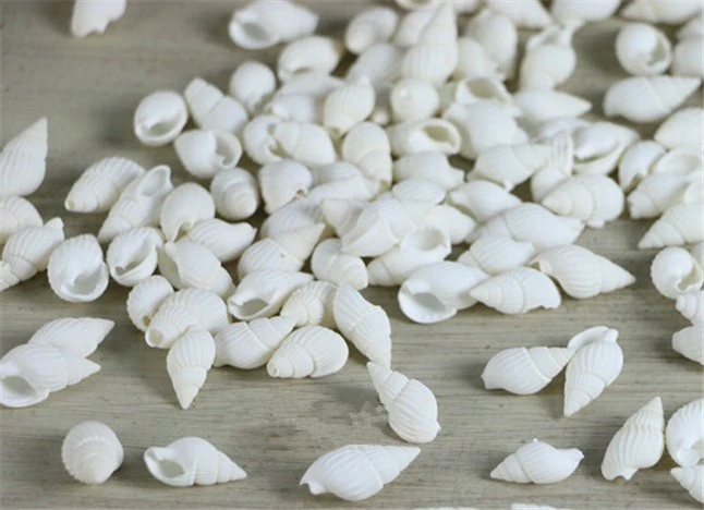 

200pcs/lot 100% natural white color 1-2cm small sea shell snail/trumpet shell wedding/festival/party home decoration