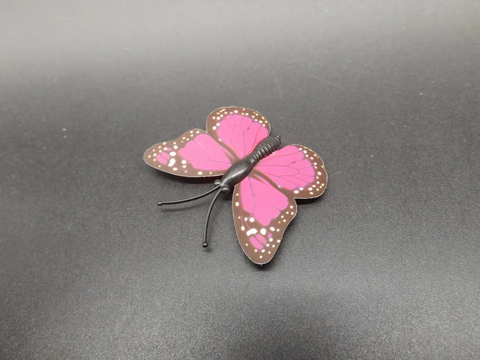 I249-Butterfly (7)