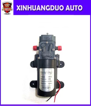 

Return valve type 12v 30W 3L/min high pressure diaphragm dc micro water pump agriculture battery sprayer pump 12v dc water pump