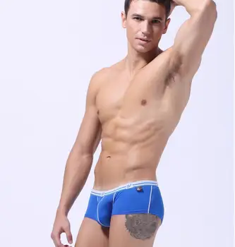 

Men's Viscose Fiber Boxers Trunks Low Rise Sexy Mesh Trunks Underwear Soft Comfortable