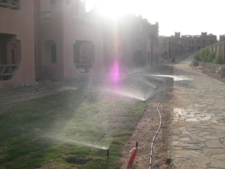 25424_1416708174975_1845591_n