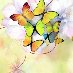 Animal-Needlework-5D-Diy-Diamond-Painting-Cross-Stitch-Butterfly-Painting-Diamond-Embroidery-Full-Square-Diamond-Mosaic.jpg_640x640 (8)_