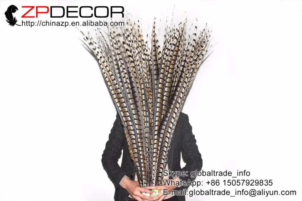 70-80cm natural lady amherst pheasant feathers (20)