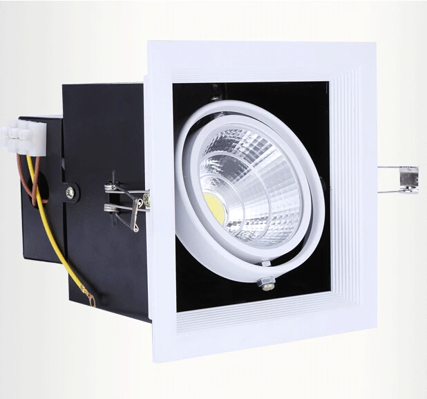 Receipt Spotlight LED 20w 220v COB Driver Hole Diameter 140mm 20 Watt white Light 