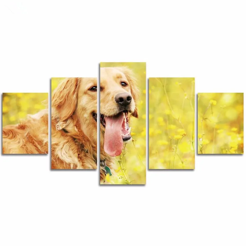 HTB14Rqoc7fb_uJkHFrdq6x2IVXaN