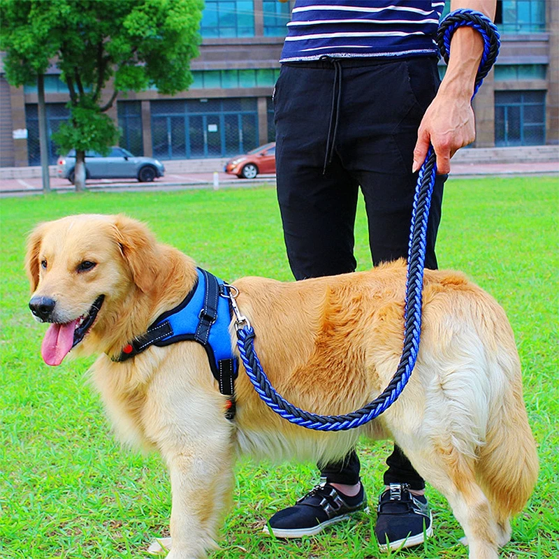 

Big Pet Dedicated Dog Leash And Collar Strands Plaited Rope Dogs Collars Leashes Chain Strong For Large Dogs Animals 1.2m Length