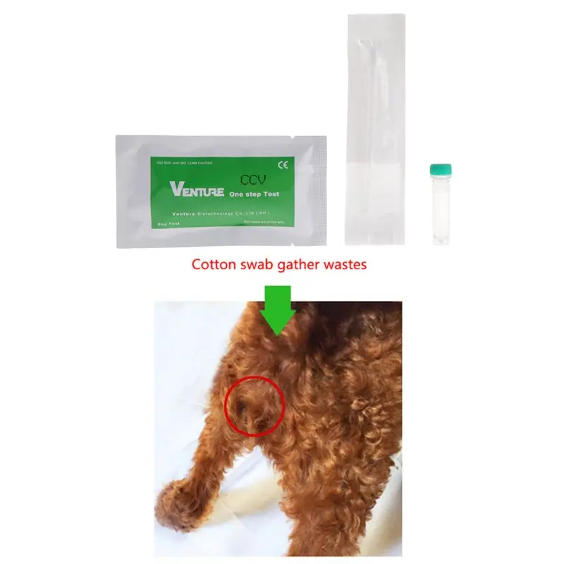 

Canine CCV Test Card Dog Puppy Diagnostic Kit Quick Detection Paper Virus Supply