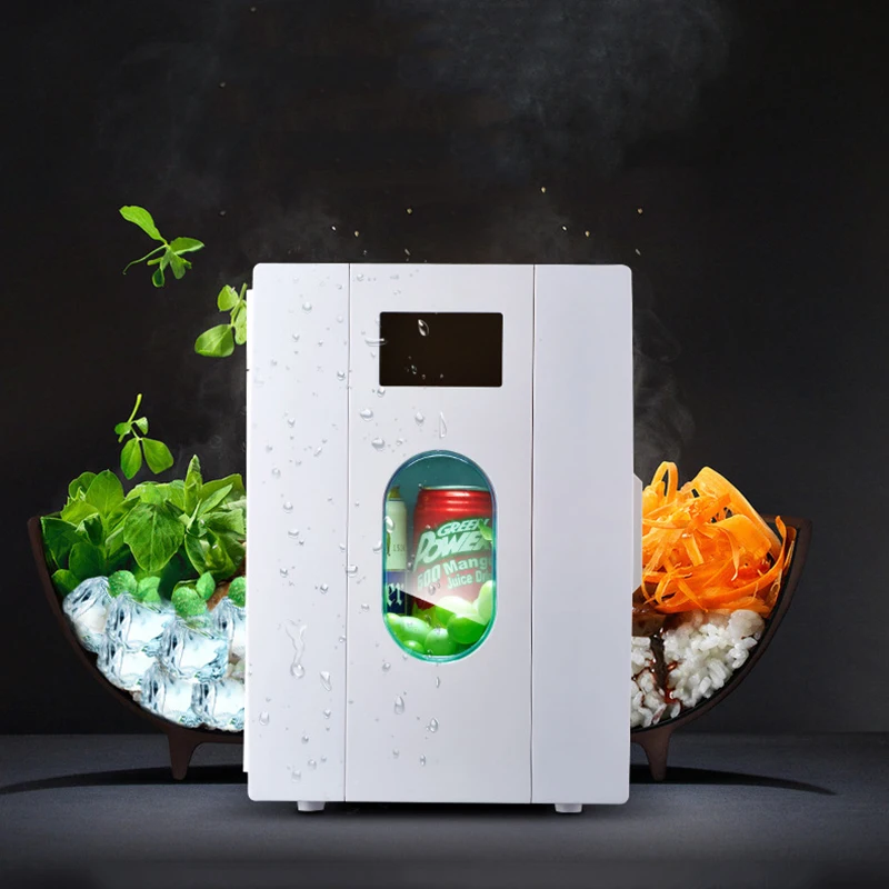 2018 Limited 10l Small Refrigerator Cooling /heating Function Cheap