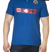 Полюс Винсон человек флаги центральная часть весна лето