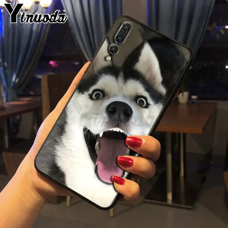 Yinuoda Husky dog черные мягкие Аксессуары для телефонов Чехол Huawei P20pro mate10lite p9 p10plus honor 8x 7A