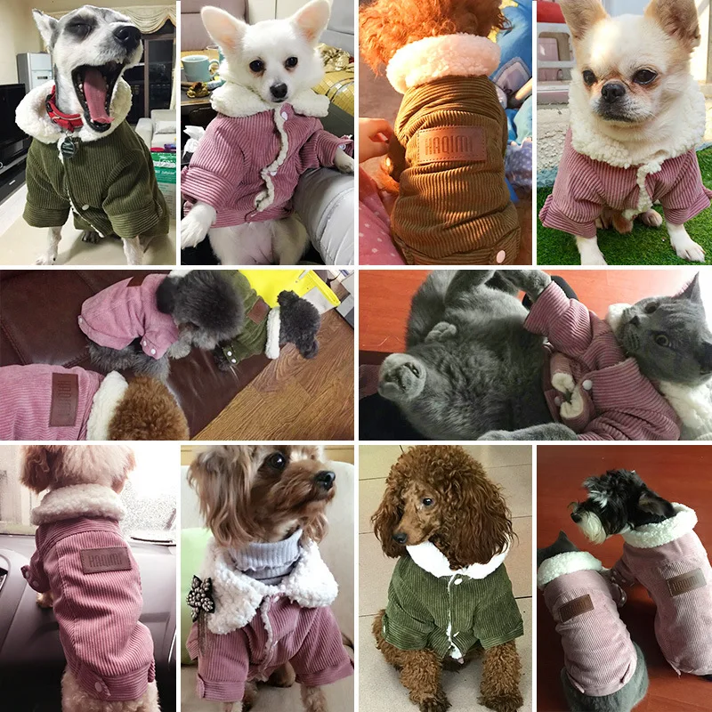 Классическая одежда для собак, зимняя одежда для собак с французским бульдогом, одежда для маленьких собак, теплая толстая верхняя одежда, одежда с мопсами для собак, одежда для чихуахуа