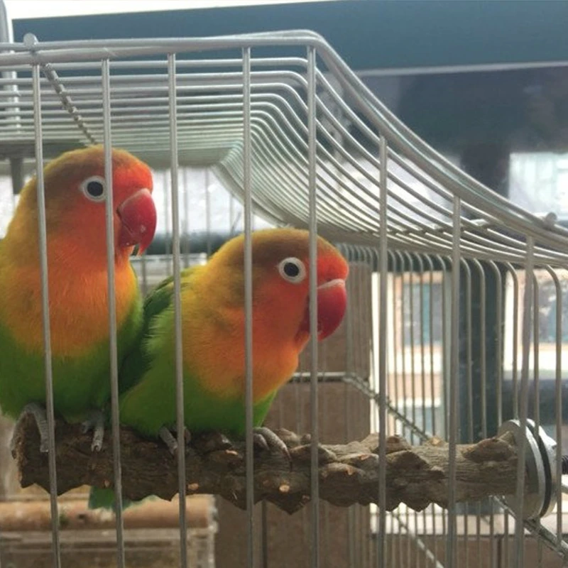 Деревянная птичья подставка-держатель для попугая лапа шлифовальный окунь жевательные домашние игрушки подвесная клетка