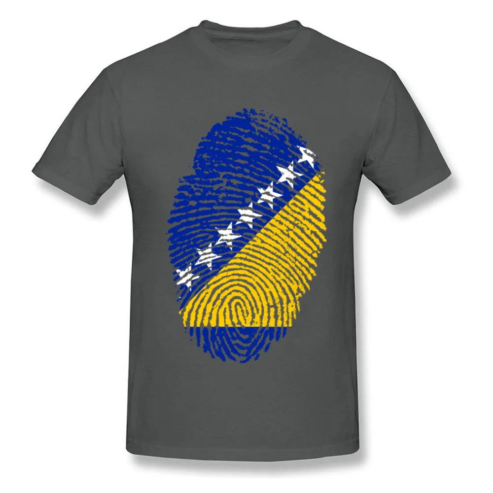 Bosnia and H. Flag Fingerprint_carbon