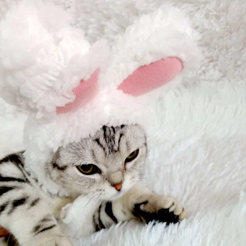 

 pet cat rabbit ears headgear hat lovely birthday decorations to dress up