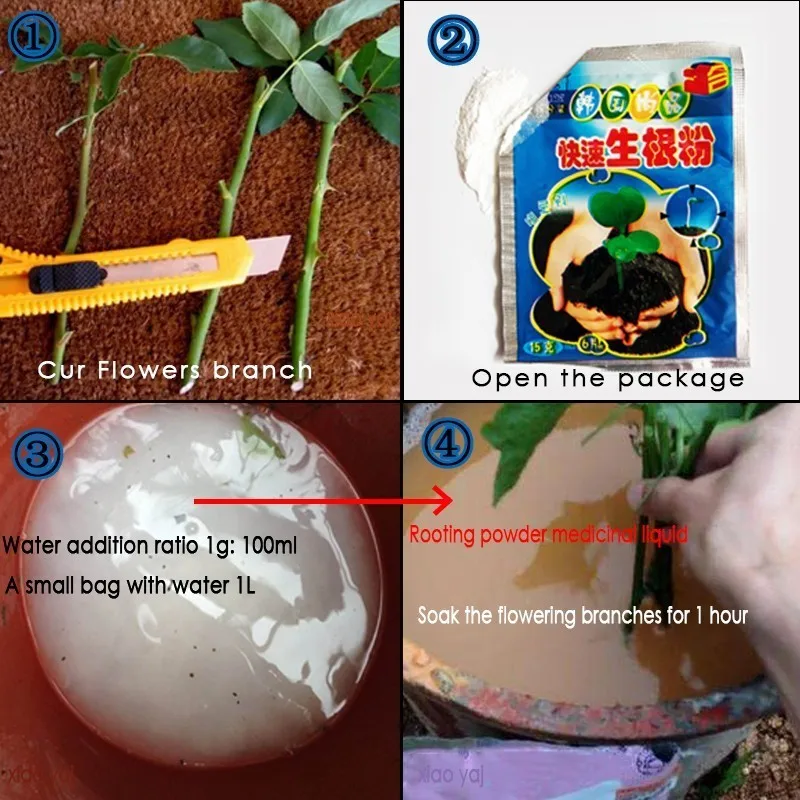 

Newest 10 Bags Rapid Rooting Powder Agent for Fruit Tree Cutting Flower Plants