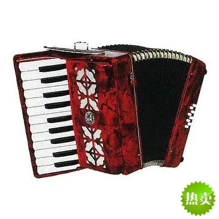 Free shipping! SunRhyme Children Accordion - 22 keys 8 bass accordion for kids Free shipping! SunRhyme Children Accordion - 22 keys 8 bass accordion for kids