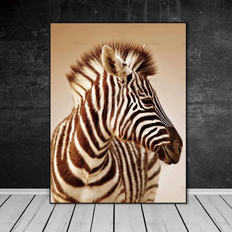 zebra diy Daimond Painting wall art animal full square drills 5D