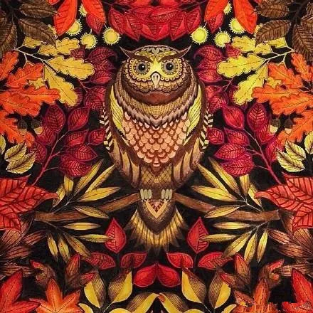 Secret Garden An Inky Treasure Hunt And Coloring Book For Children Adult Relieve Stress Kill Time Graffiti Painting Drawing In Books From Office