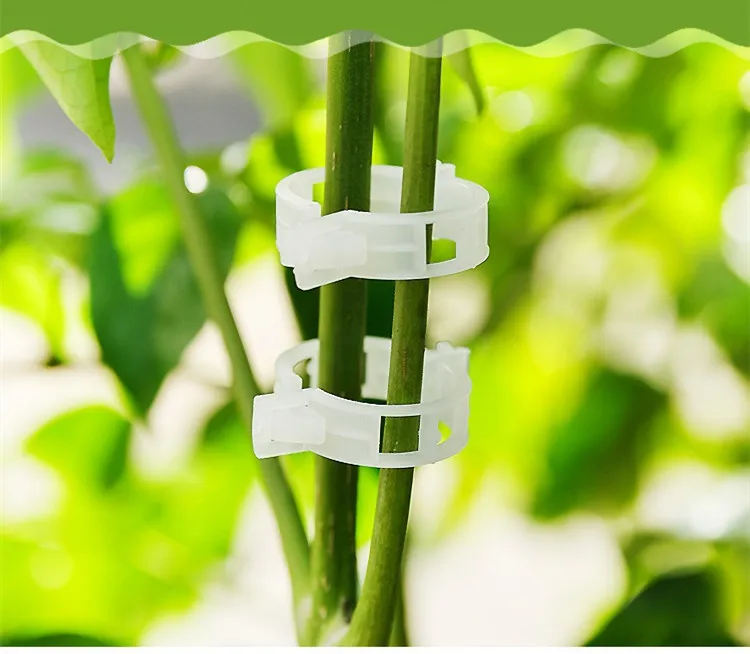 50 шт. томатный держатель аппликатор растительная дыня завод пряжка зажим для растений пластиковая папка для галстука гибкость не вредит рассады