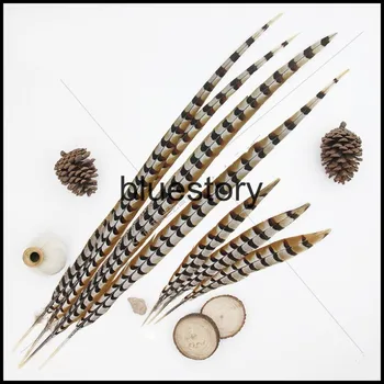 

Free shipping! 50pcs/lot Pheasant feather 35-40cm Syrmaticuspheasant tail Feathers for Performance,Partys