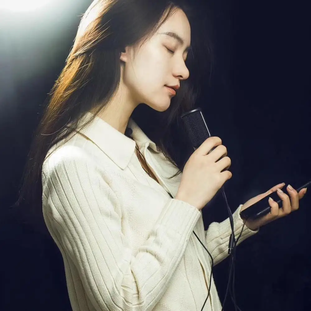 New Original Xiaomi Mijia JUNLIN digital microphone HD noise reduction Real-time ear return Profess