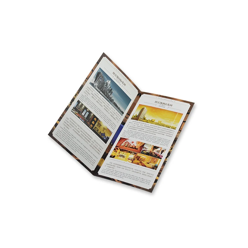 

Zuoluo Colorful Custom Printed Folded Flyer Booklet Brochure for Advertising