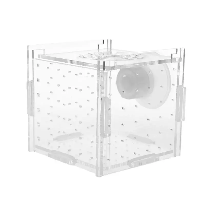 Для разведения рыб в аквариуме изолирующая коробка детский инкубатор для рыб люк Заводчик Аквариум