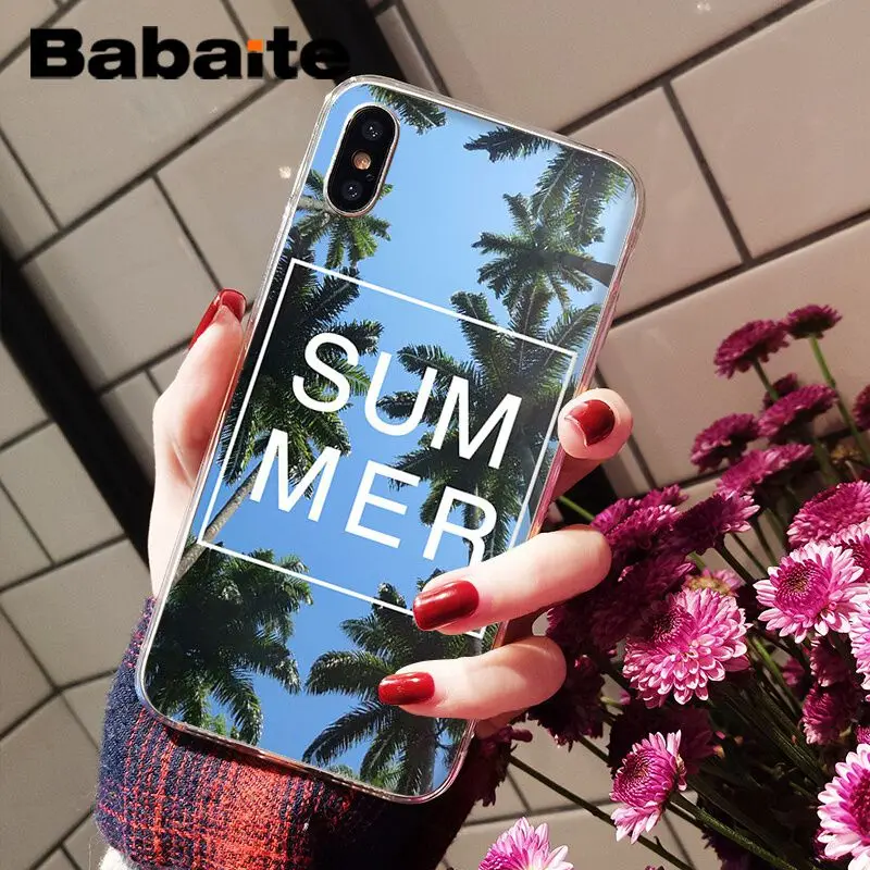 Summer beach palm
