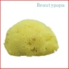 Beautypapa Natural Makeup Removal Sponge Beauty Make up Remover Greek FINA SILK Sea Sponge 1.5''- 2.0''-Random Shape ► Photo 1/4