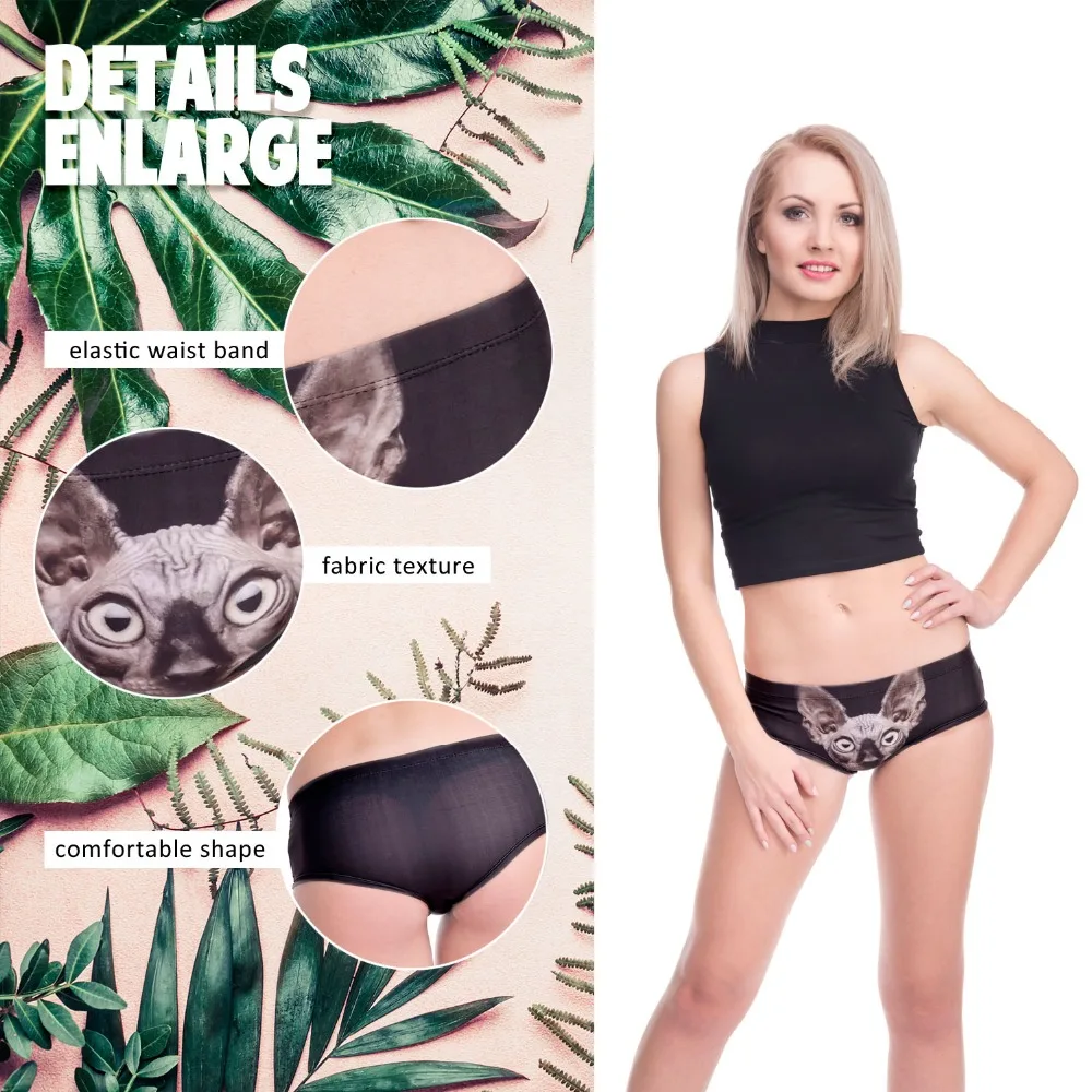 37063 SPHYNX CAT (2)