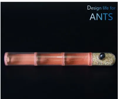 3pcs-bamboo-ant-nest (14)