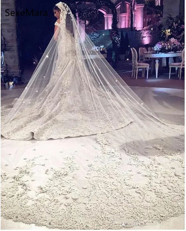 

New Champagne Bridal Veil Cathedral Length 3M One Tier Lace Applique Edge Soft Netting Romantic Wedding Veil with Comb