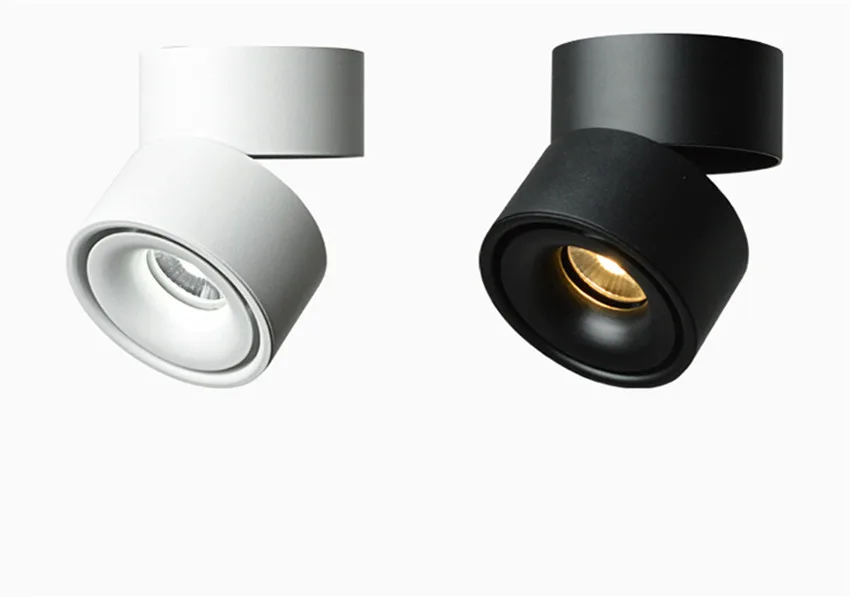 NR-54 Ceiling light  (1)