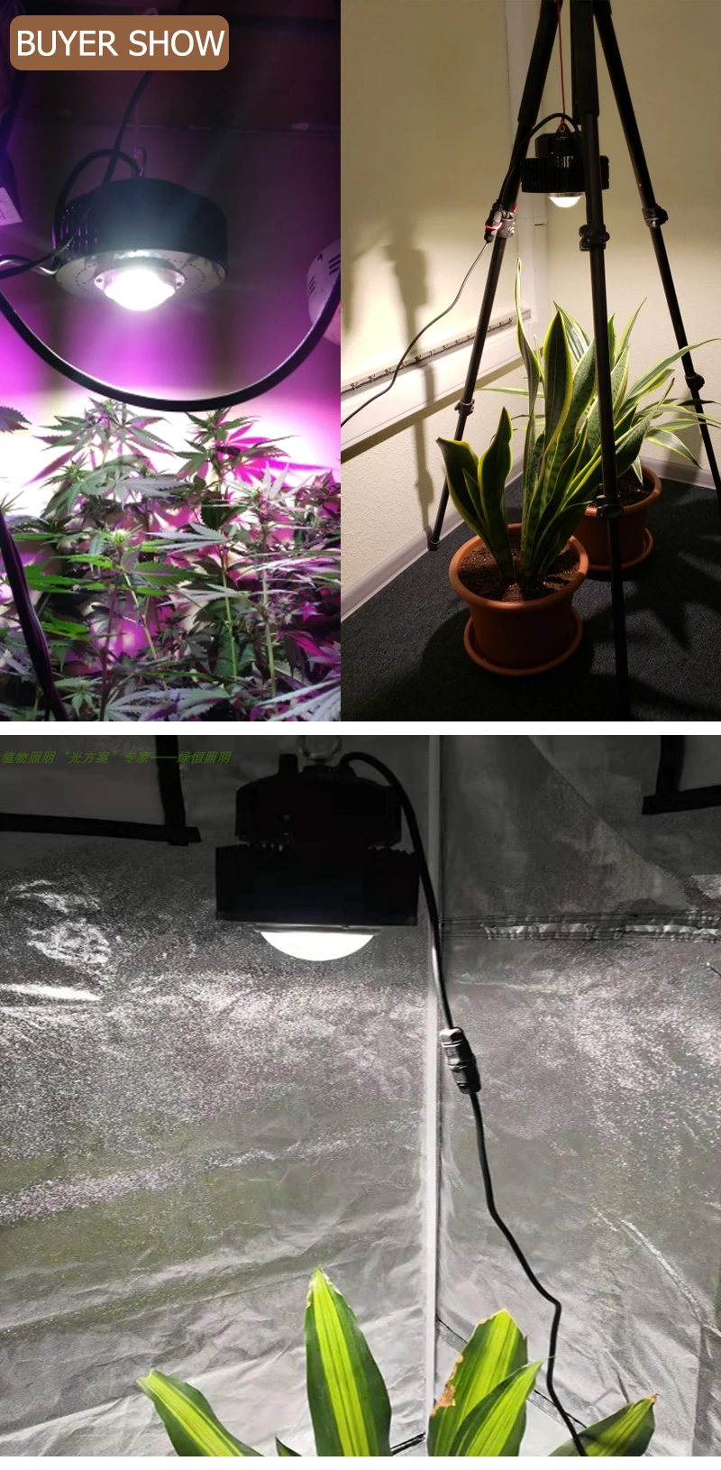 Тент для выращивания COB Led Grow Light 3500K CXB3590 CXB2530 полный спектр фитолампа для растений комнатный саженец Veg и цветы Fitolamp