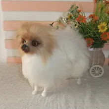 Моделирование животных шпиц Модель 23X9x21 см игрушка полиэтилена и меха кролика поделки из резины, реквизит, украшения подарок A667