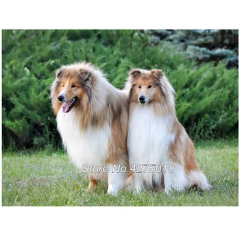 

Sheepdog sheltie dog pet 5D embroidery Diy diamond painting full square mosaic almaznaya,christmas decorations for home YG411