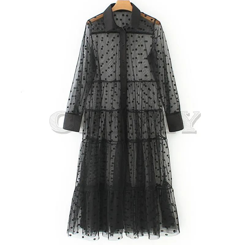 Image Fashion 2019 Women Polka Dot Tulle Semi sheer Sexy Dress Female Turn down Collar Long Sleeve A line Long Dress Summer Plus Size