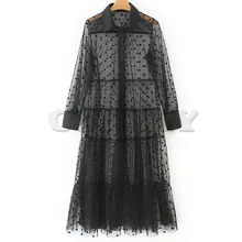 Fashion 2019 Women Polka Dot Tulle Semi-sheer Sexy Dress Female Turn-down Collar Long Sleeve A-line Long Dress Summer Plus Size fleece dot applique semi sheer top