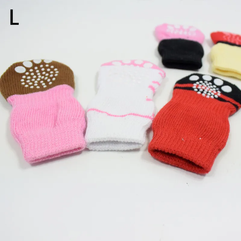 chihuahua socks