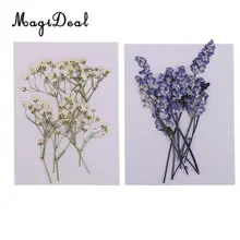 20 шт. красивые прессованные шалфей цветок Babysbreath сухоцветы для книги по искусству Craft Скрапбукинг эпоксидной Создание украшений из каучука DIY материал