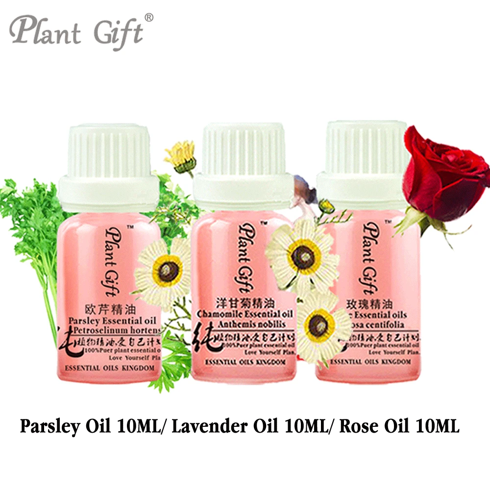 

Free Shopping 100% Pure Plant Essential Oils Parsley / Lavender / Rose Oil 10ml Antibacterial, Antispasmodic, Dispels Flatulence