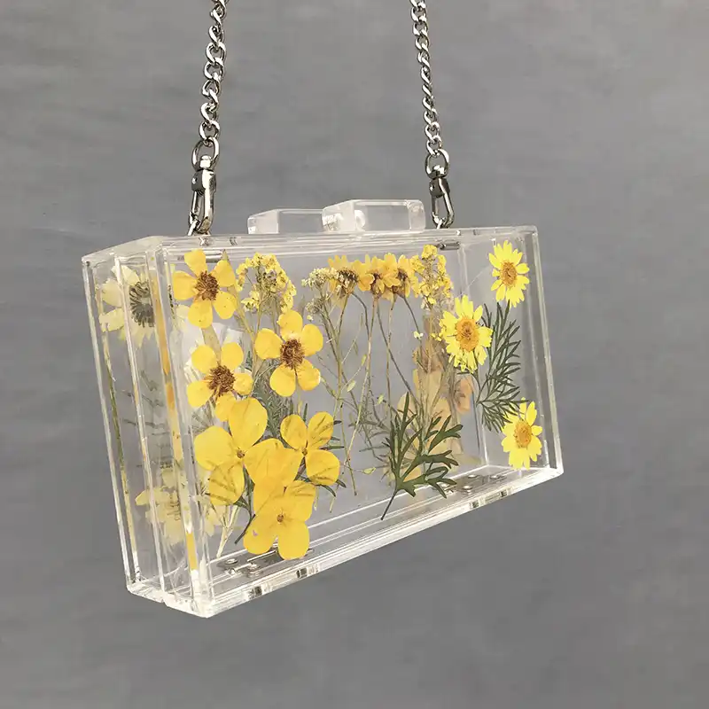 transparent chain bag