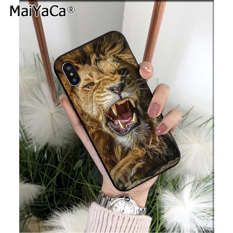 Cool Animal Lion