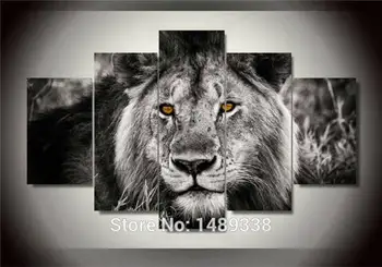 

Free Shipping Lion Oil Painting On Canvas Abstract Animal Oil Painting Canvas Prints Wall Art Decoration Picture 5pcs/Set F/333
