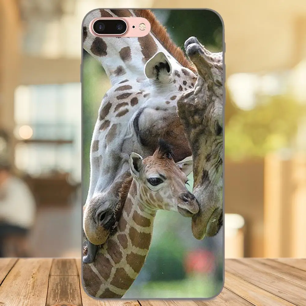 Three Giraffes прекрасный животный модный дизайн тонкий чехол для Xiaomi Redmi Note 2 3 4 4A 4X 5 5A 6 6A