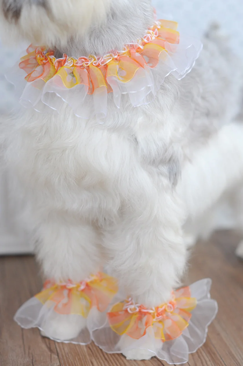 

Hot Selling 2019 New Fashion Dog Accessories Sweet Romantic Purple Pet Decoration Five Piece Suit Orange Pet Skirt