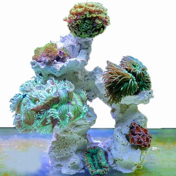 

Seawater Aquarium stone, dead stone, microbial landscaping stone, free from exploding algae
