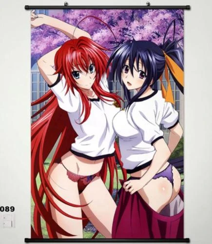 Japan Sexy Anime High School Dxd Rias Gremory Home Decor Poster Wall Scroll  - Painting & Calligraphy - AliExpress